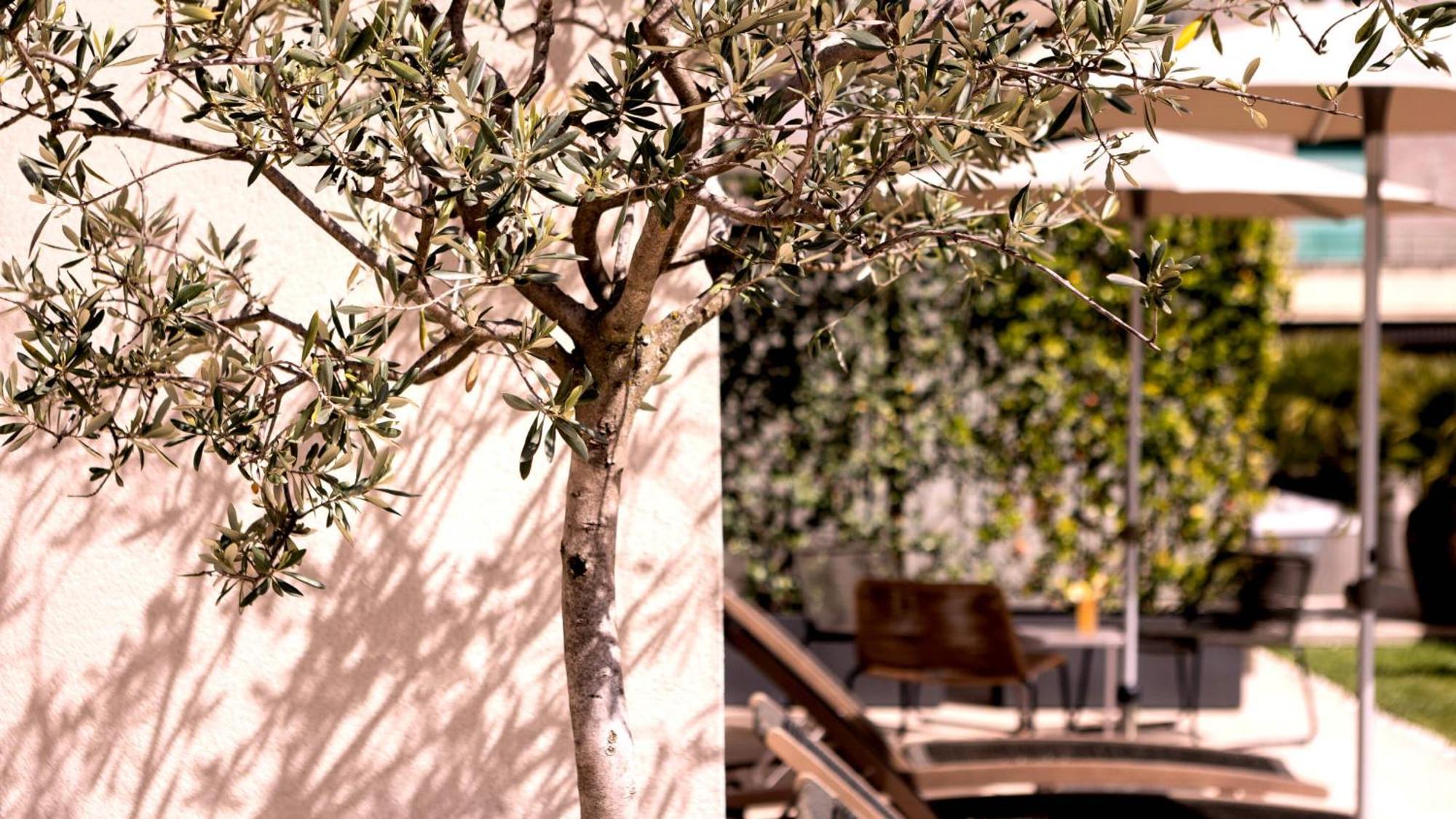 City Hotel מראנו מראה חיצוני תמונה